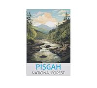 Jigsaw Puzzles for Adults 1000 Piece，Pisgah National Forest，Difficult Puzzle Perfect Educational Gift for Boys and Girls（38x52cm）-FO52