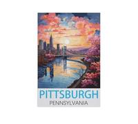 Jigsaw Puzzles for Adults 1000 Piece，Pittsburgh Pennsylvania，Educational Games Brain Challenge Jigsaw Puzzles for Adult Kids（50x70cm）-FS87