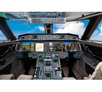 Jigsaw Puzzles For Adults 1000 Piece Private Aircraft Jet Air Plane Cockpit High Detail Instruments Airplane Controls Photo Family Funny Challenging Holiday Puzzles Gift