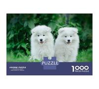 Jigsaw Puzzles for Adults 1000 Piece Samoyed Puppy Adult Puzzles Toy Wall Decor Wall Decoration Deal As Gifts for The Whole Family 52x38cm/1000pcs