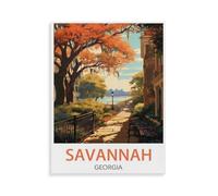 Jigsaw Puzzles for Adults 1000 Piece，Savannah Georgia，Difficult Puzzle Perfect Educational Gift for Boys and Girls-W269-38x52cm