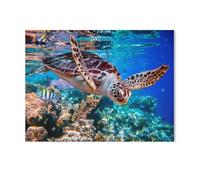 Jigsaw Puzzles for Adults 1000 Piece，Sea turtle，Educational Games, Stress Relief Fun Smart Games, Gifts for Friends Family, Home Decoration（75x50cm）-T29
