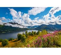 Jigsaw Puzzles For Adults 1000 Piece Sunrise Loch Duich Scotland Lake Summer Landscape Photo Beach Castle Sunset Pictures Family Funny Challenging Holiday Puzzles Gift