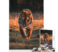 Jigsaw Puzzles for Adults 1000 Piece Tiger Wild Sunset Animal Adult Jigsaw Puzzles Family Activities Challenging To Complete for Is Ideal As A Gifts (50x75cm)