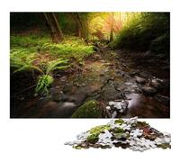 Jigsaw Puzzles for Adults 1000 Piece Visions of A Secret Paper Jigsaw Puzzles Challenging Brain Teaser for Teenagers Family Game Night Fun 1000 PCS(38x26cm)