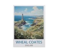 Jigsaw Puzzles for Adults 1000 Piece，Wheal Coates England，Classic Puzzle Teens Boys Girls Puzzles for DIY Intellective Educational Game, Gift Home Decor（50x70cm）-AD44