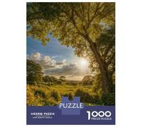 Jigsaw Puzzles for Adults 1000 Piece Wildflower Field at Dawn Puzzle for Adults Relaxing Games Hand Speed Race Fun Activities at Home 38x26cm/1000pcs