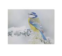 Jigsaw Puzzles for Adults 1000 Piece，Wildlife scene: blue tit in the forest, snowflakes and a beautiful lichen-covered branch，Difficult Puzzle Perfect Educational Gift for Boys And Girls（75x50cm）-I71