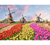 Jigsaw Puzzles for Adults 1000 Piece Windmill & Tulip 27.56 x 19.69 Inch Jigsaw Puzzle for Adults Educational Game 1000 Pieces Amsterdam Puzzles for Adult