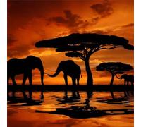 Jigsaw Puzzles for Adults 1000 Pieces,African Grassland Animals jigsaw Puzzle 26x26 inch Challenging puzzles,DIY Puzzles for Home Decoration,Family Puzzle Perfect for Game
