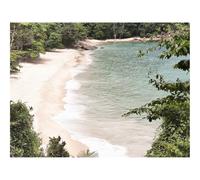 Jigsaw Puzzles for Adults 1000 Pieces -Beach,plants,coast,exotic 70x50cm