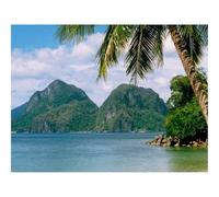 Jigsaw Puzzles for Adults 1000 Pieces -Beach,Sea,Mountains,Palm Tree,Tropics 70x50cm
