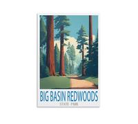 Jigsaw Puzzles for Adults 1000 Pieces，Big Basin Redwoods State Park 1000 Piece Jigsaw Puzzles for Adults -Fun Challenging & Brainteasing Adults Jigsaw Puzzle 70x50cm