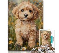 Jigsaw Puzzles for Adults 1000 Pieces Cockapoo Puppy 1000 Pieces for Adults,Quiz Game for Is Ideal As A Gift for The Whole Family 75x50cm