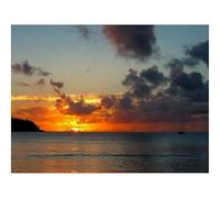 Jigsaw Puzzles for Adults 1000 Pieces -Decline,hawaii,evening 70x50cm