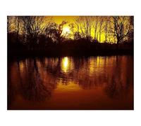 Jigsaw Puzzles for Adults 1000 Pieces -Decline,sun,trees 70x50cm