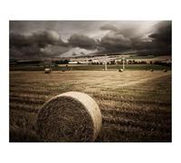 Jigsaw Puzzles for Adults 1000 Pieces -Fields,straw,grass 70x50cm
