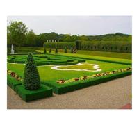 Jigsaw Puzzles for Adults 1000 Pieces -Garden,Lawn,Park,Design,Green,Cloudy 70x50cm