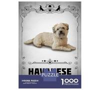 Jigsaw Puzzles for Adults 1000 Pieces Havanese Puzzles for Adults Relaxing Games Birthday Present Challenging To Complete 70x50cm/1000pcs