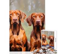 Jigsaw Puzzles for Adults 1000 Pieces Hungarian Vizsla Dogs Educational Toy Birthday Gift Practical Game Challenging To Complete Size 50x75cm