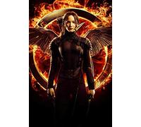 Jigsaw Puzzles for Adults, 1000 Pieces, Hunger Games, Educational Stress Relief Toy, Fun Family Game, Kids and Adults, Mj661TY 50x70cm