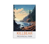 Jigsaw Puzzles for Adults 1000 Pieces，Killbear Provincial Park Educational Game jigsaw puzzle Suitable for Decompression and Wall Decor 38x26cm