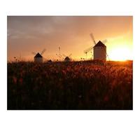 Jigsaw Puzzles for Adults 1000 Pieces -Mills,Field,Decline,Orange,Sun,Silence 70x50cm