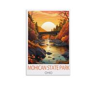 Jigsaw Puzzles for Adults 1000 Pieces，Mohican State Park Ohio Educational Game jigsaw puzzle Suitable for Decompression and Wall Decor 70x50cm