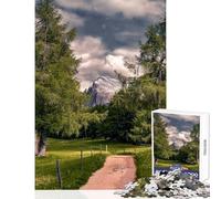 Jigsaw Puzzles for Adults 1000 Pieces Mountain Path Through Trees Impossible Game Learning Educational Anti-Stress Toys Improving Love between Couples (38x26cm)