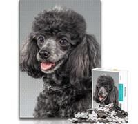 Jigsaw Puzzles for Adults 1000 Pieces Poodle,Decompressing Intellectual Educational Toy Birthday Present,Gifts 38x26cm