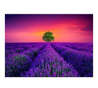 Jigsaw Puzzles for Adults 1000, Puzzles for Adults, Challenging Puzzles, Puzzle Game for The Whole for Women, Gifts for Men, Theme:Provence Lavender
