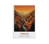 Jigsaw Puzzles for Adults 1000 Puzzles Pisgah National Forest North Carolina Puzzles for Adults Educational Game Challenge Toy 1000 Pieces 38x26cm