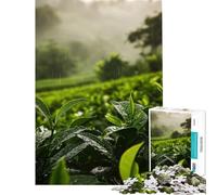 Jigsaw Puzzles for Adults 1000 Rain on Tea Plantation Toy Intellectual Game Educational Games But Fun And Humorous Gifts For Birthdays (Size 38x26cm)
