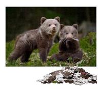 Jigsaw Puzzles for Adults 1000 Two Brown Bear Cubs in Forest Puzzles for Adults Creative Family Game & Home Decor for Teenagers