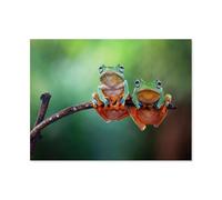 Jigsaw Puzzles for Adults 1000，Two tree frogs on a branch，Decompressing Intellectual Educational Toy Good Gift for Adults Kids, Home Decor（38x26cm）-P22