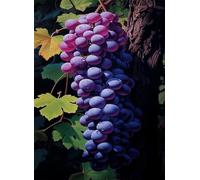 Jigsaw Puzzles for Adults 1200, Puzzles for Adults Fruit Grapes, Challenging Difficult Logic Puzzle, Puzzle 1200 Pieces for Adult 29.5 x 19.7 inch