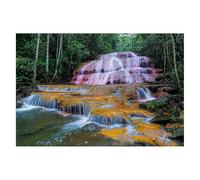 Jigsaw Puzzles for Adults 1500 Forest Jigsaws 1500 Pieces for Adults Wooden Fall Puzzle Games, Classic Educational Challenging Game for The Whole Families Decompression, Rome Decor Gifts 87x57cm H-68