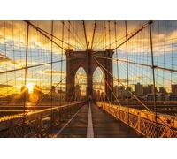 jigsaw puzzles for adults 1500 | jigsaw puzzle | 1500 piece jigsaw puzzles for adults | Bridges USA brooklyn (57x87cm)