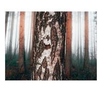 Jigsaw Puzzles for Adults 1500 Piece Educational Games-Birch,tree,forests 87x57cm