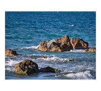 Jigsaw Puzzles for Adults 1500 Piece Educational Games-Bird,flight,sea 87x57cm