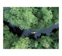 Jigsaw Puzzles for Adults 1500 Piece Educational Games-Boat,kayak,river 87x57cm