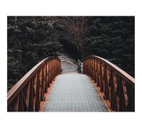 Jigsaw Puzzles for Adults 1500 Piece Educational Games-Bridge,forests,Trees,Landscape 87x57cm