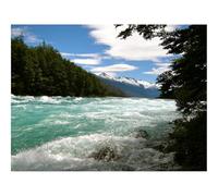 Jigsaw Puzzles for Adults 1500 Piece Educational Games-Cancer,speed,coast 87x57cm