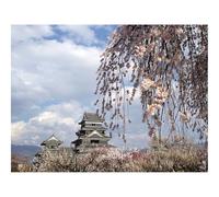 Jigsaw Puzzles for Adults 1500 Piece Educational Games-China,buildings,flowers 87x57cm