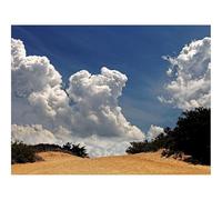 Jigsaw Puzzles for Adults 1500 Piece Educational Games-Desert,vegetation,sky 87x57cm