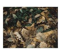 Jigsaw Puzzles for Adults 1500 Piece Educational Games-Foliage,autumn,fallen 87x57cm