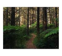 Jigsaw Puzzles for Adults 1500 Piece Educational Games-forests,path,fern 87x57cm