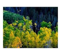 Jigsaw Puzzles for Adults 1500 Piece Educational Games-forests,trees,autumn 87x57cm