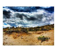 Jigsaw Puzzles for Adults 1500 Piece Educational Games-Stones,Sand,Plants,Roots,Sky,Colors 87x57cm