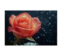 Jigsaw Puzzles for Adults 1500, Rose Jigsaws 1500 Pieces for Adults, Impossible Jigsaws Puzzle Challenging Game for The Whole, Wooden Jigsaw Puzzles for Gifts for Women Gifts for Men Theme:Dream -1798